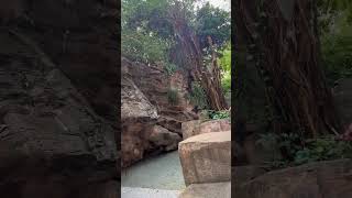 Waterfalls #interesting #waters falling from the mountains #satisfyingvideoyoutubeshorts