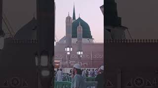 روضۃ رسول #مسجد_نبوی_صلی_اللہ_علیہ_وسلم #shortvideo #masjid