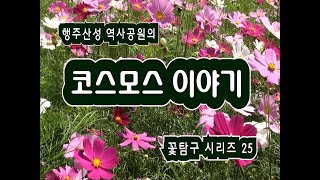 행주산성 역사공원 코스모스 이야기 #126