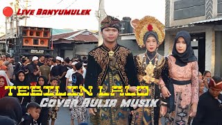 Lagu Tebilin lalo cover Aulia musik 🔴Live Nyongkolang Banyumulek