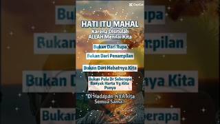 Kita Semua Sama di Hadapan Allah SWT#Tawakkal#Pengingat#APB