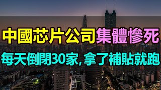 屍橫遍野！每天倒閉30家！1 09萬中國芯片公司集體倒閉，拿了補貼就跑路，中國芯片企業集體慘死，芯片行業一片哀嚎！中國芯片企業渾水摸魚，騙取補貼一浪接著一浪，沒完沒了