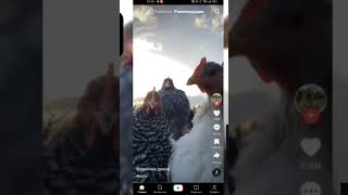 гайд как скачать Тик Ток мод на андроид #tiktok #мем #тикток #юмор #smartphone #fyr