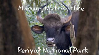 Wonderful Nature Walk in Periyar National Park 4K