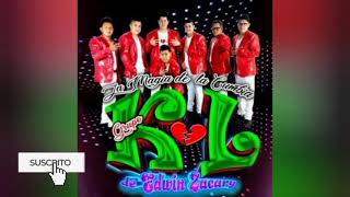 Corazon Ya No Sufras----Grupo Kumbia Love 2021 (Limpia)