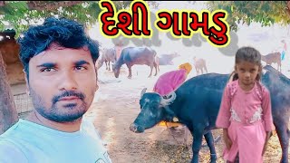 આજે સંભારા બનાવ્યા રીંગણ ના Bharat Thakor Vlogs my FIRST Vlog