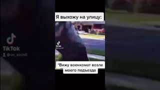 #врекомендации #funnyvideo #funny #fup #foryou 😹😹😹😿😿😿