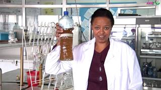 Producing Environmentally Friendly Fertilizer from Human Urine