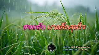 ฮอยฮัก บาดลึกสุดใจ(Official Lyrics)