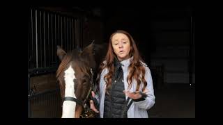 KEPE Inductive Acoustic Wave Therapy - Does the horse have to be sedated?