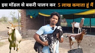 शिक्षक इस मॉडल से बकरी पालन कर 5 लाख कमाते है safal goat farming #goatfarming