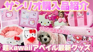 【サンリオ購入品】アベイルで最新のサンリオグッズをまたまた爆買いしてきました🎀🌈💖