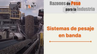 Sistema de PESAJE EN BANDA TLN Global Export