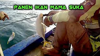 mancing dengan teknik ini dijamin pulang bawa ikan banyak !!!