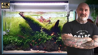 60CM/2FT PLANTED AQUARIUM | RELAXING CINEMATIC