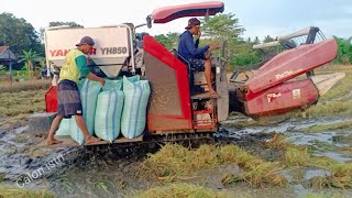 Mesin panen Padi Tercepat#254