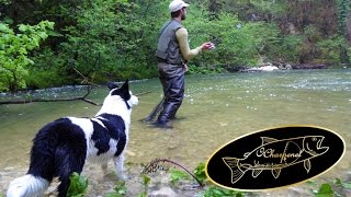 Les gorges du Longviry accompagné par un Border Collie et son maitre !