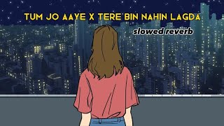 Tum jo aaye x tere bin nahin lagda || slowed reverb 2 || lofi mix