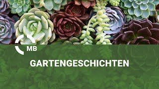 Ernte- und Gartengeschichten in Matthäus“ - Predigt von Heinrich Klassen