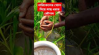 নারিকেলের খোল দিয়ে মাছ ধরার কৌশল  #shorts #tiktok #fishing #fish #fishcatching #news #trending #yt