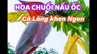 MÓN ĂN SIÊU NGON - ỐC NẤU HOA CHUỐI - CẢ LÀNG KHEN NGON