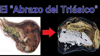 El Fósil más Triste de la Historia - "El Abrazo que duró 250 millones de Años"