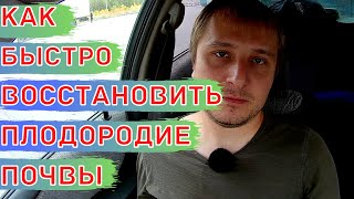 Как содержание органического углерода (органического вещества) влияет на плодородие почвы.