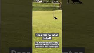 Does This Count as a Birdie? - Golf Rules Explained