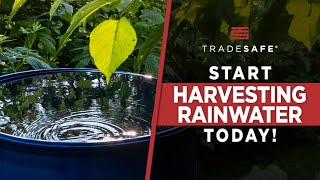 Rainwater Harvesting 101: How to Harvest Rainwater