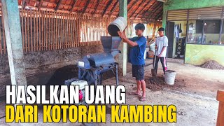 Kotoran Kambing Jadi Pupuk Organik Bisa Hasilkan Uang