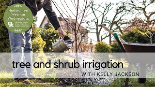 Tree and Shrub Irrigation