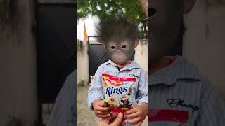 Bandar mama pahan pajama dawat khane aaye 🐵🎂🍭🍼🍌#monkey #funny #bandar #dance  #comedy #aaryavnaagar