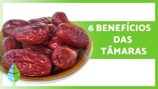 BENEFÍCIOS PARA A SAÚDE das TÂMARAS 💚 | Propriedades, como comê-las e contra-indicações