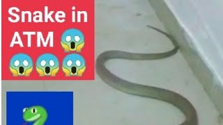 Snake in an ATM !! Don't miss the end