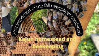 Fall newspaper combine inspection