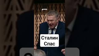 Сталин Спас #жириновский