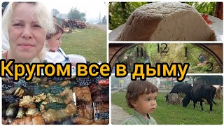 Горят леса/В магазинах есть все/Совсем не боится животных/Сыр удался/Качелям кирдык/Ночь и пельмени🙃