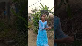 #folksong #follow #shortvideo #agriculture