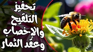 محلول سماد عضوى مهم في عملية تلقيح الأزهار وعقد الثمار واستطالة النبات 💧🌿 عنصر الزنك