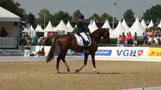 Charmeur Florencio x Jazz   WM Verden 2012