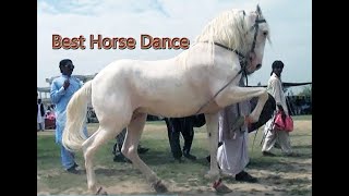 Best Horse Dance in Shakrila Pakistan