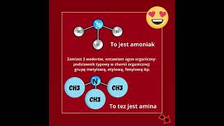 amidy i aminy- prosto o ich budowie