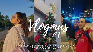 Hasta Siempre Amigo! - Chau UNIVERSIDAD - Armamos el ARBOLITO / VLOGMAS #1