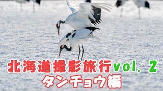 北海道撮影旅行 タンチョウ編