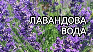 Лавандова вода. Збереження краси та молодості шкіри. Домашня косметика #лаванда #lavender