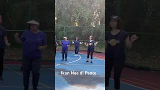 Ikan Nae di Pante #linedance #dance #ikannaedipante #laguntt #happyladiespbr