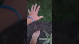 touching grass sike