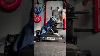 Mr Infinity Nord Ex Preview (Nordic Bench + Back Extension Machine)