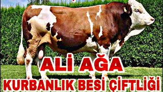 ET LEZZETİ İLE MEŞHUR KARS MALLARI | 2022 KURBANLIK FİYATLARI | BALIKESİR-EDREMİT