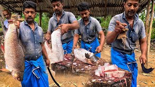 Masterful Carp: Cutting Expert Rohu Fish Cutting Skills He Defeats Kasimedu Selvam in Fish Market